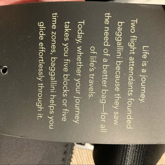 BAGGALLINI Hanover Crossbody Bag With Little  Pouch Wristlet NWT - Picture 14 of 14